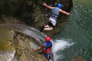 Waterfall and Monkeys Combo