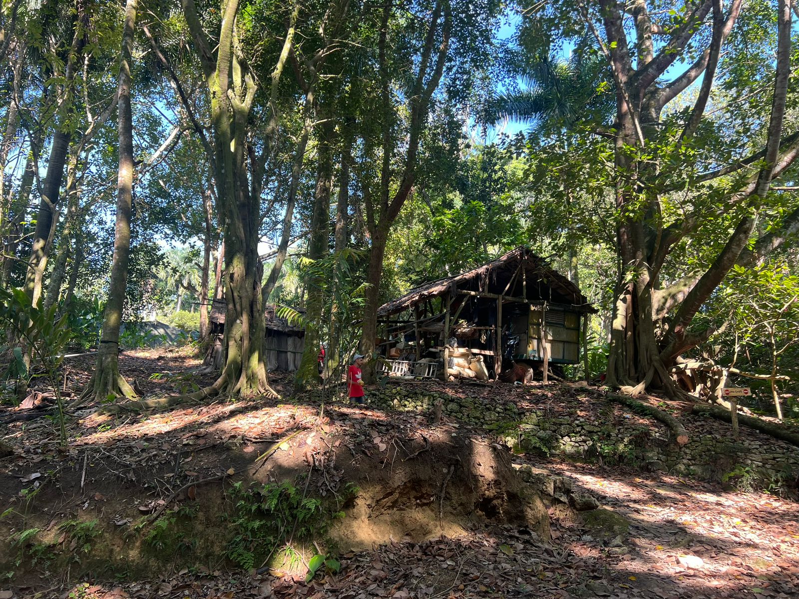 Ecolodge Getaway
