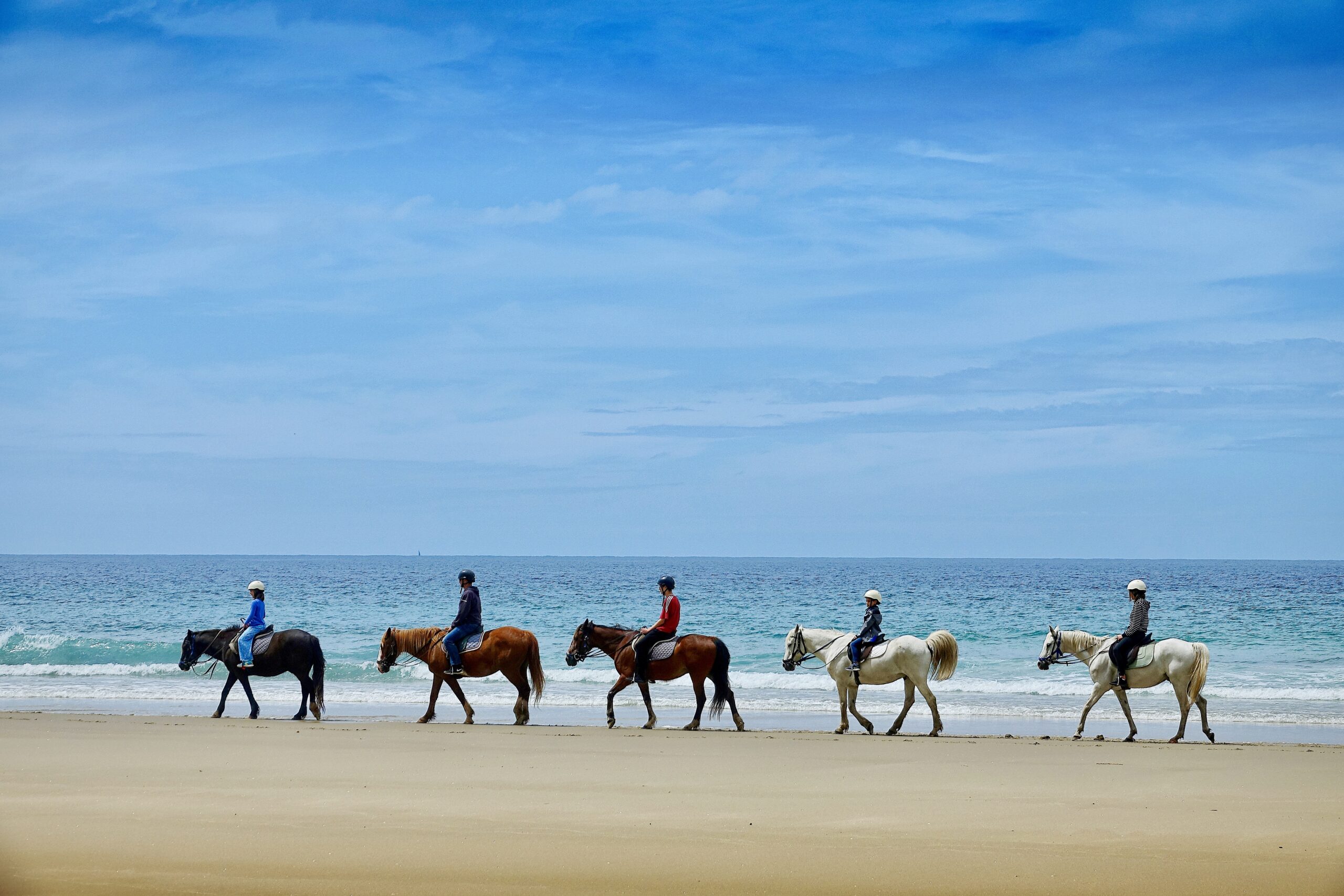 Horseback Riding