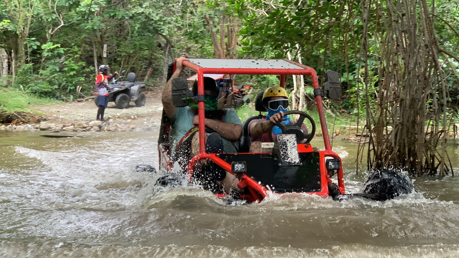 Monkeys and Buggy Combo