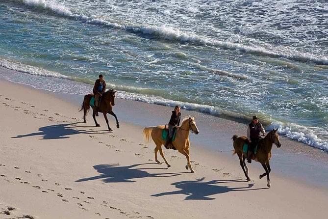 Best Horseback Riding Tour on the Beach in Puerto Plata 4