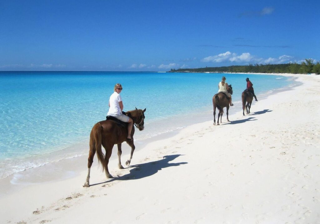 Best Horseback Riding Tour on the Beach in Puerto Plata 5