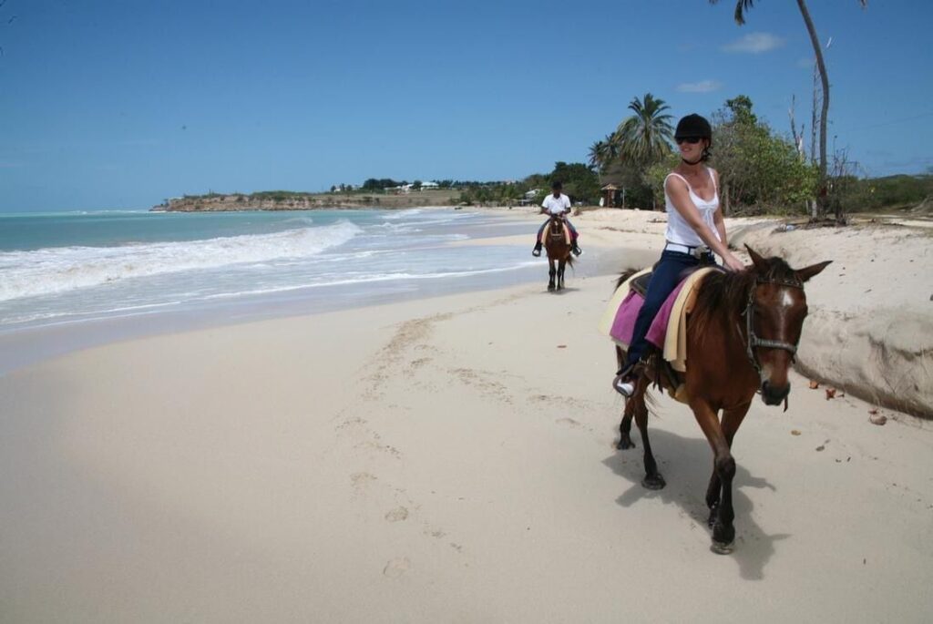 Best Horseback Riding Tour on the Beach in Puerto Plata 6